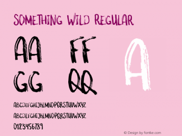 something wild Regular Version 1.000;PS 001.000;hotconv 1.0.70;makeotf.lib2.5.58329 Font Sample