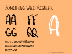 something wild Regular Version 1.000 Font Sample