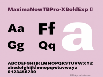MaximaNowTBPro-XBoldExp ☞ Version 001.005;com.myfonts.easy.ef.maxima-now-pro.pro-expd-extrabold.wfkit2.version.4v9o Font Sample