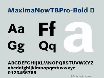 MaximaNowTBPro-Bold ☞ Version 001.005 2008;com.myfonts.easy.ef.maxima-now-pro.pro-bold.wfkit2.version.4v9j Font Sample