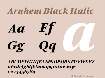 Arnhem Black Italic 001.000图片样张