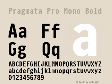 Pragmata Pro Mono Bold Version 0.822图片样张