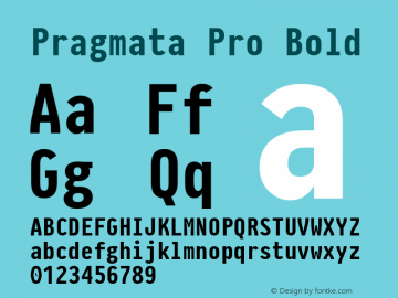 Pragmata Pro Bold Version 0.822图片样张