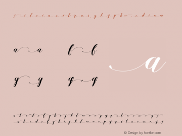 Zilvia extras glyph Medium Version 1.000 Font Sample