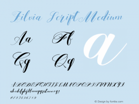 Zilvia Script Medium Version 1.000 Font Sample