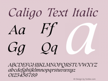 Caligo Text Italic Version 1.000图片样张