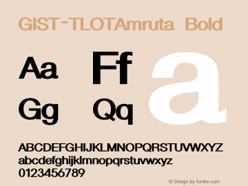GIST-TLOTAmruta Bold 9.0图片样张