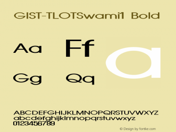 GIST-TLOTSwami1 Bold 9.0图片样张