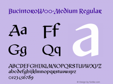 BucintoroW00-Medium Regular Version 1.10 Font Sample
