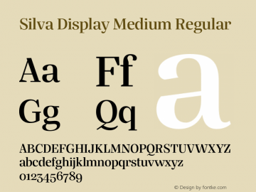 Silva Display Medium Regular 1.010图片样张