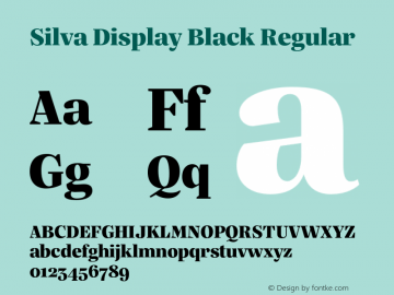 Silva Display Black Regular 1.010图片样张