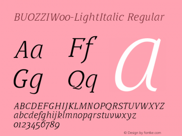 BUOZZIW00-LightItalic Regular Version 1.00 Font Sample