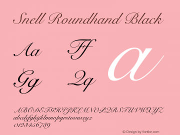 Snell Roundhand Black 10.0d5e5图片样张