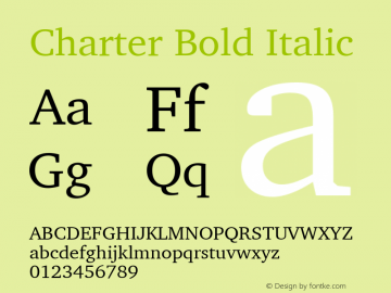 Charter Bold Italic 11.0d1e1图片样张