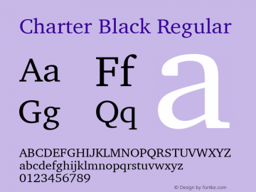 Charter Black Regular 11.0d1e1图片样张