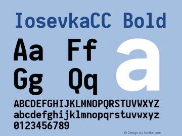 IosevkaCC Bold 1.5.1; ttfautohint (v1.4.1) Font Sample