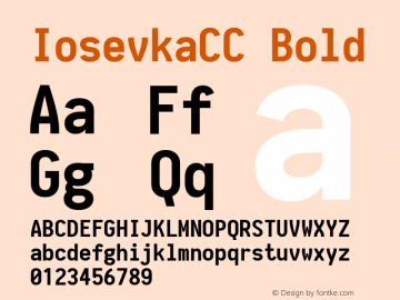 IosevkaCC Bold 1.5.4; ttfautohint (v1.4.1) Font Sample