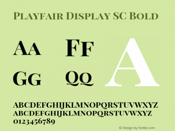 Playfair Display SC Bold Version 1.004;PS 001.004;hotconv 1.0.70;makeotf.lib2.5.58329; ttfautohint (v0.96) -l 42 -r 42 -G 200 -x 14 -w 