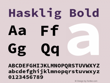 Hasklig Bold Version 2.010;PS 1.0;hotconv 1.0.88;makeotf.lib2.5.647800 Font Sample