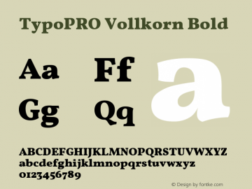 TypoPRO Vollkorn Bold Version 3.005;PS 003.005;hotconv 1.0.70;makeotf.lib2.5.58329图片样张