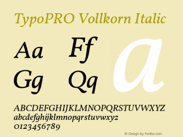 TypoPRO Vollkorn Italic Version 3.005;PS 003.005;hotconv 1.0.70;makeotf.lib2.5.58329图片样张