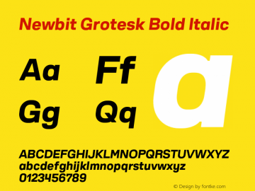 Newbit Grotesk Bold Italic Version 1.000;PS 001.000;hotconv 1.0.88;makeotf.lib2.5.64775 Font Sample