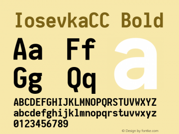 IosevkaCC Bold 1.6.1; ttfautohint (v1.4.1) Font Sample