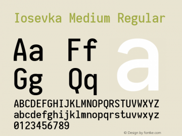 Iosevka Medium Regular 1.6.2; ttfautohint (v1.4.1) Font Sample