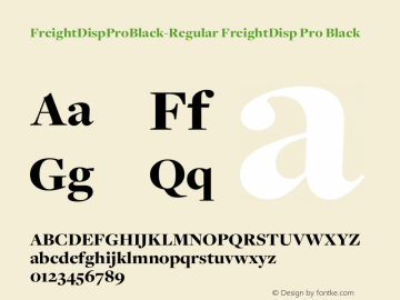 FreightDispProBlack-Regular FreightDisp Pro Black Version 3.000图片样张