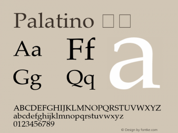 Palatino 常规 7.0d4e6图片样张