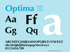 Optima 粗体 6.1d4e1 Font Sample