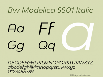 Bw Modelica SS01 Italic Version 1.030;com.myfonts.easy.branding-with-type.bw-modelica.ss01-italic.wfkit2.version.4whD Font Sample
