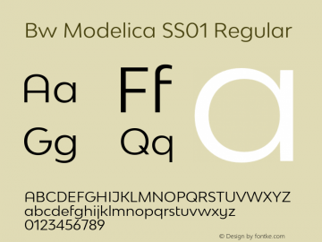 Bw Modelica SS01 Regular Version 1.030;com.myfonts.easy.branding-with-type.bw-modelica.ss01-regular.wfkit2.version.4whF Font Sample