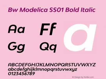 Bw Modelica SS01 Bold Italic Version 1.030;com.myfonts.easy.branding-with-type.bw-modelica.ss01-bold-italic.wfkit2.version.4whk Font Sample