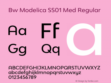 Bw Modelica SS01 Med Regular Version 1.030;com.myfonts.easy.branding-with-type.bw-modelica.ss01-medium.wfkit2.version.4whC Font Sample