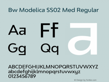 Bw Modelica SS02 Med Regular Version 1.030;com.myfonts.easy.branding-with-type.bw-modelica.ss02-medium.wfkit2.version.4wi9 Font Sample