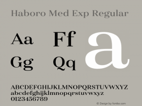 Haboro Med Exp Regular Version 1.000;com.myfonts.easy.insigne.haboro.ext-medium.wfkit2.version.4w2r图片样张