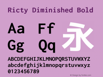 Ricty Diminished Bold Version 4.0.0 Font Sample