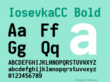 IosevkaCC Bold 1.7.2; ttfautohint (v1.4.1) Font Sample