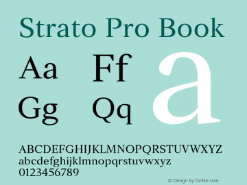 Strato Pro Book Version 1.000图片样张