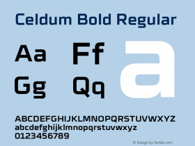 Celdum Bold Regular Version 1.000;PS 001.000;hotconv 1.0.88;makeotf.lib2.5.64775 Font Sample