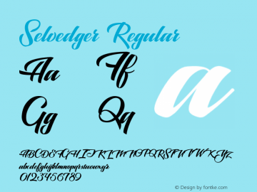 Selvedger Regular Version 1.000;PS 001.000;hotconv 1.0.70;makeotf.lib2.5.58329 DEVELOPMENT Font Sample