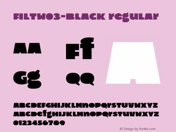 FiltW03-Black Regular Version 1.10 Font Sample
