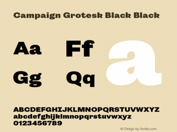 Campaign Grotesk Black Black Version 001.000 Font Sample