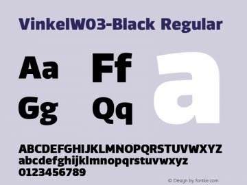 VinkelW03-Black Regular Version 1.00图片样张