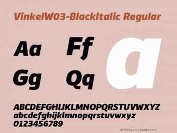VinkelW03-BlackItalic Regular Version 1.00图片样张