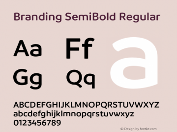Branding SemiBold Regular Version 1.000;PS 001.000;hotconv 1.0.88;makeotf.lib2.5.64775 Font Sample