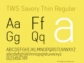 TWS Savory Thin Regular Version 1.0图片样张