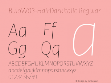BuloW03-HairDarkItalic Regular Version 1.00图片样张