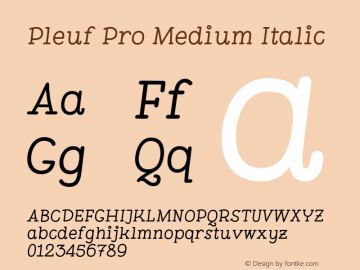 Pleuf Pro Medium Italic Version 1.000;PS 002.000;hotconv 1.0.88;makeotf.lib2.5.64775图片样张